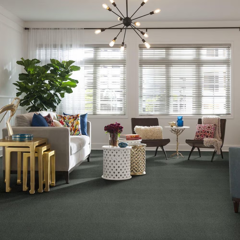45488-anderson-tuftex-caress-by-shaw-cozy-harbor-ii-carpet-in-waters-edge-1.jpg