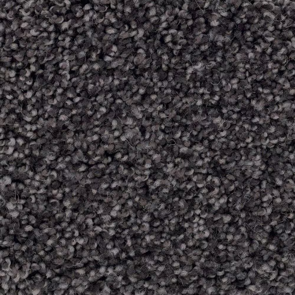 Anderson Tuftex Caress by Shaw Cozy Harbor II Carpet in Wrought Iron