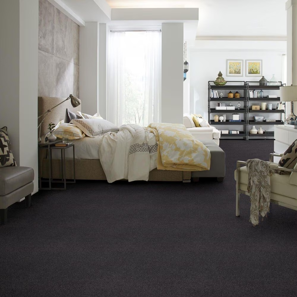 45490-anderson-tuftex-caress-by-shaw-cozy-harbor-ii-carpet-in-wrought-iron-1.jpg