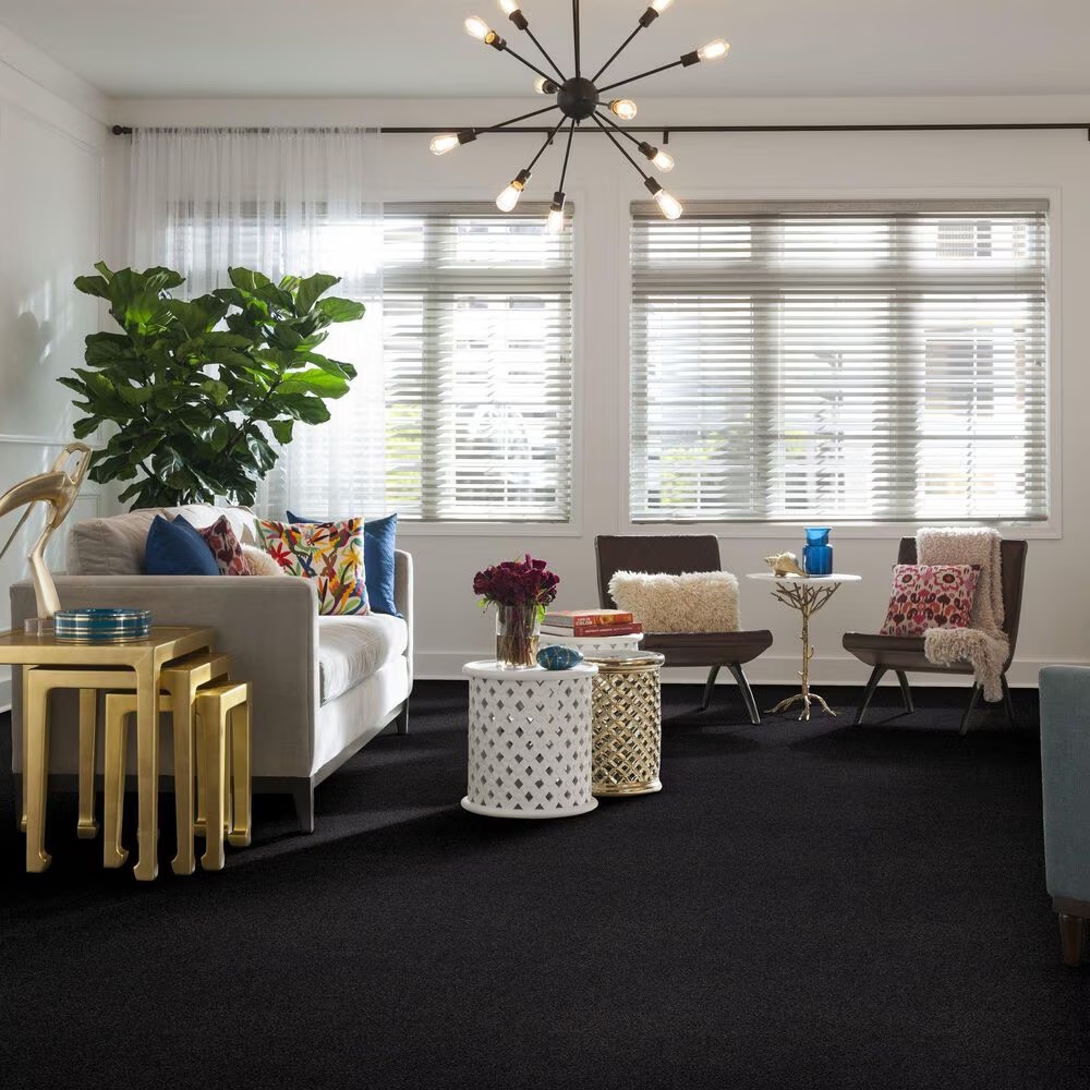 45490-anderson-tuftex-caress-by-shaw-cozy-harbor-ii-carpet-in-wrought-iron-1.jpg