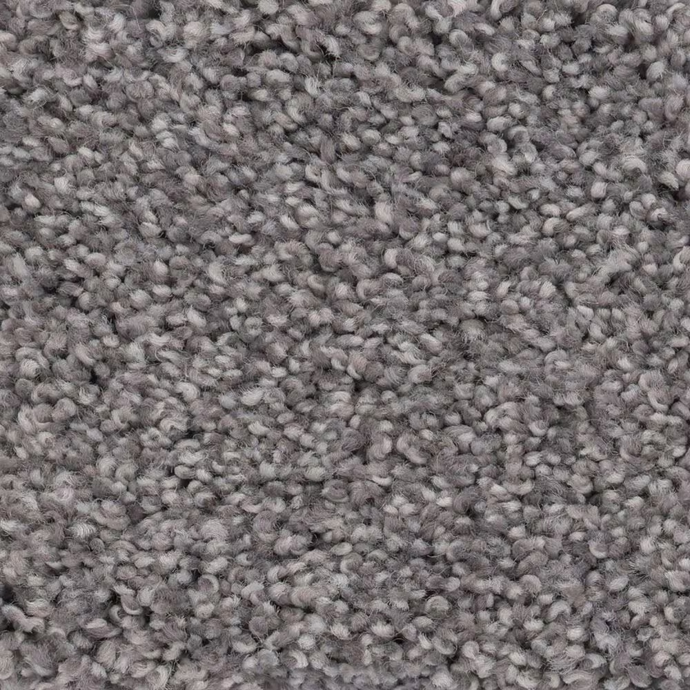 Anderson Tuftex Caress by Shaw Cozy Harbor II Carpet in Well Traveled