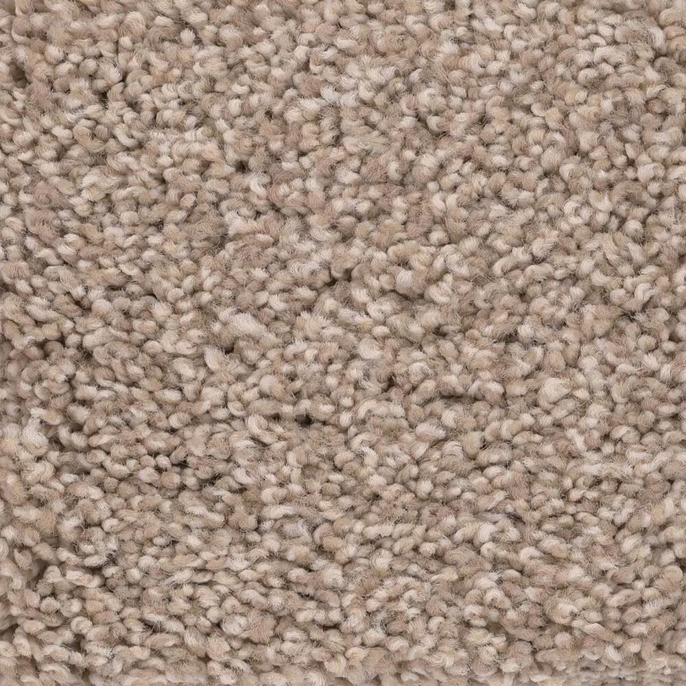 Anderson Tuftex Caress by Shaw Cozy Harbor II Carpet in Natural Beauty