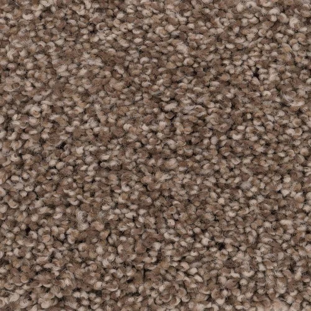 Anderson Tuftex Caress Cozy Harbor II Carpet in Raw Wood