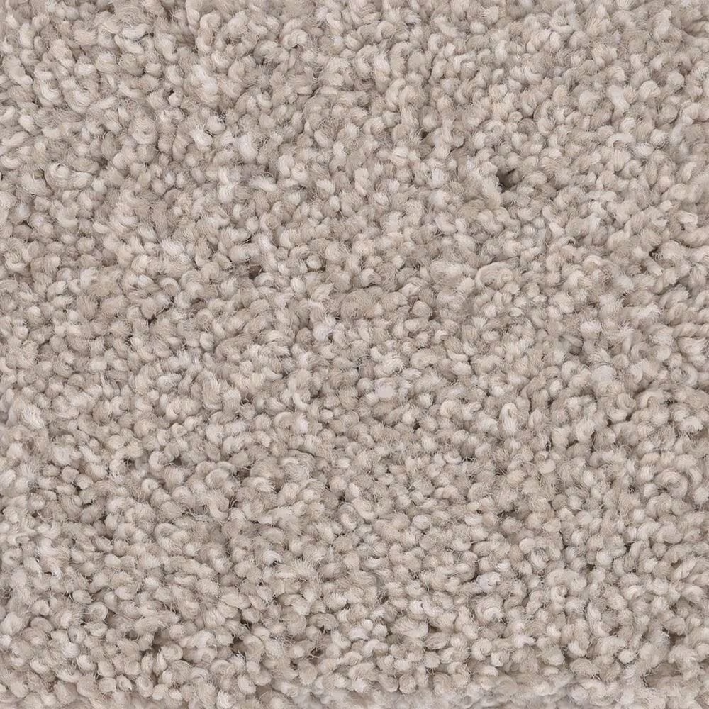 Anderson Tuftex Caress by Shaw Cozy Harbor II Carpet in Sandstone