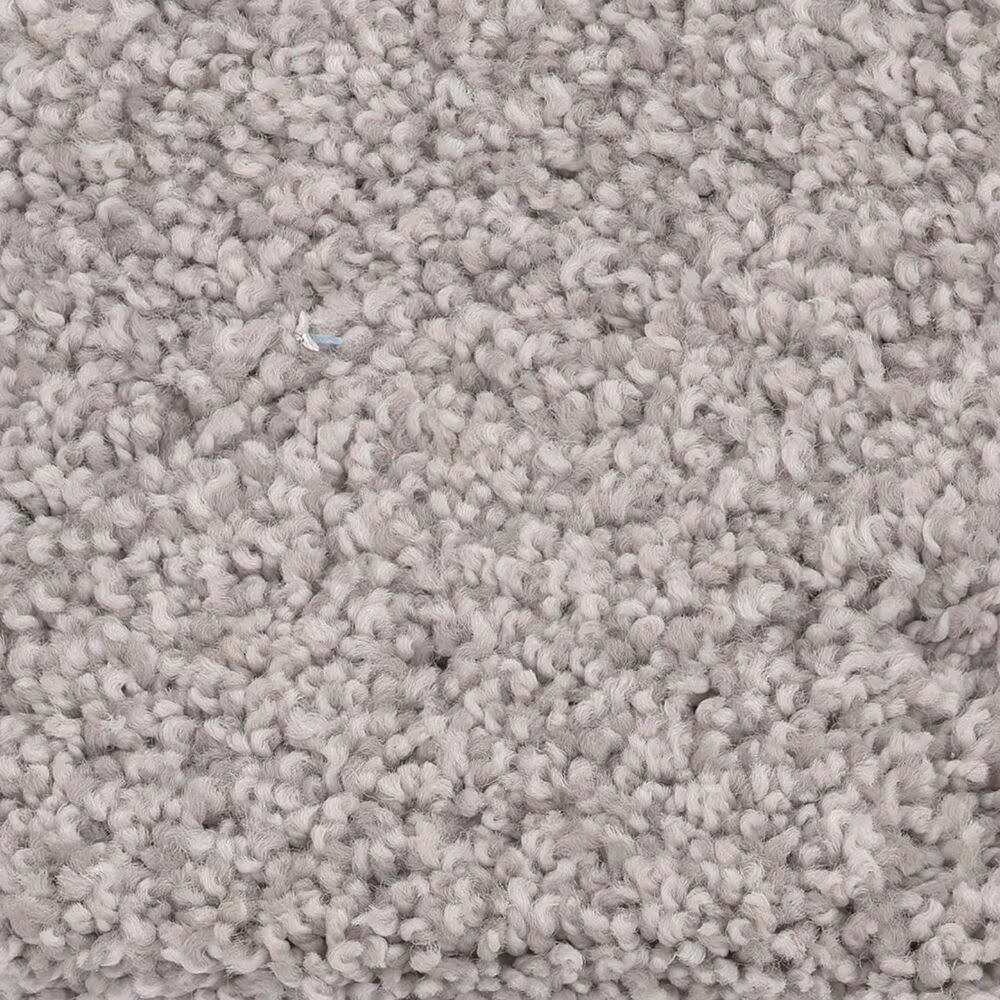 Anderson Tuftex Caress Cozy Harbor II Carpet in Cold Winter
