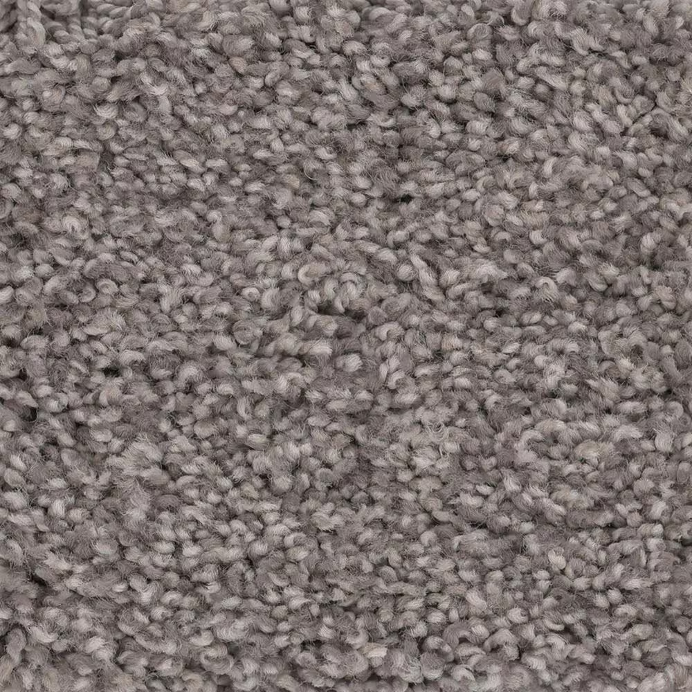 Anderson Tuftex CaressCozy Harbor II Carpet in Ridgeview