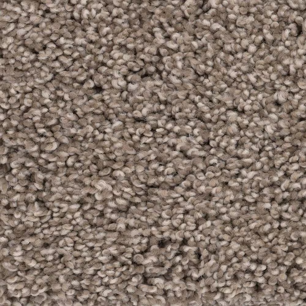 Anderson Tuftex Caress by Shaw Cozy Harbor II Carpet in Tumbleweed