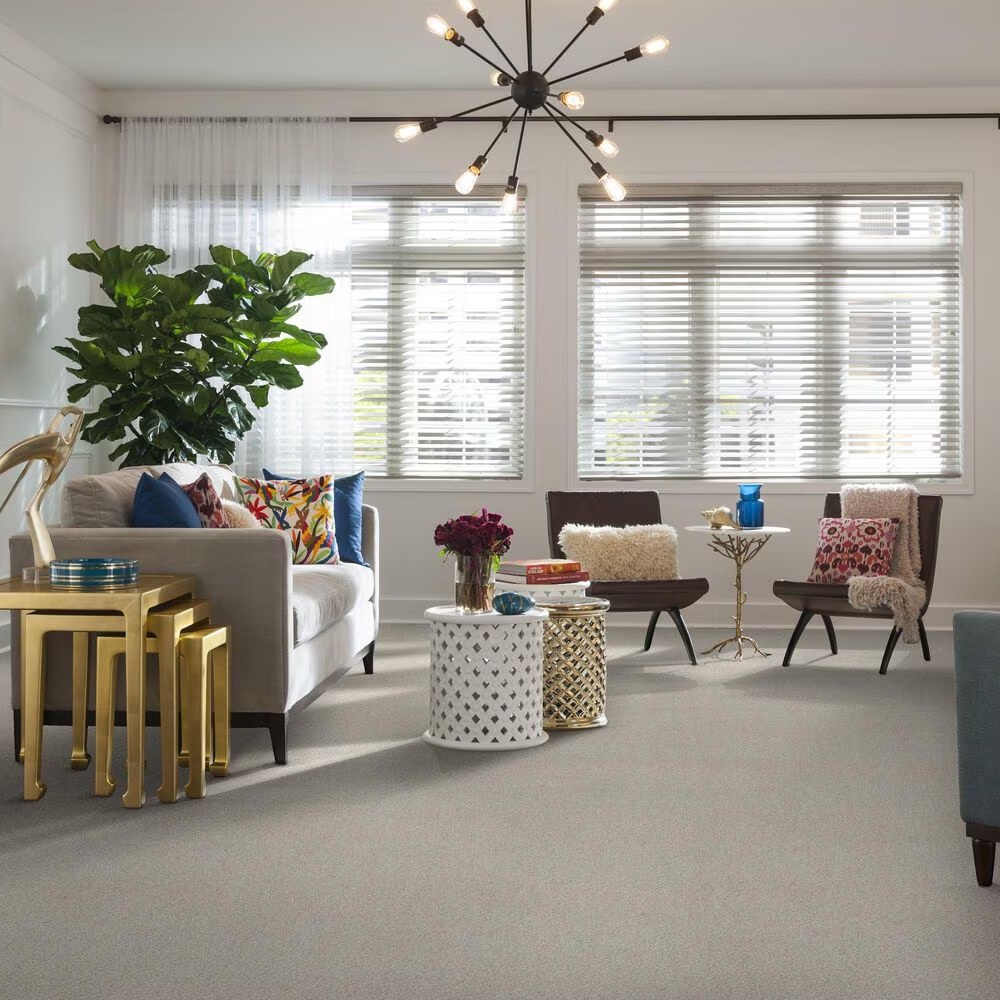 45504-anderson-tuftex-caress-by-shaw-cozy-harbor-ii-carpet-in-candle-light-1.jpg