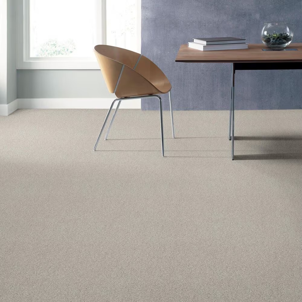 45504-anderson-tuftex-caress-by-shaw-cozy-harbor-ii-carpet-in-candle-light-1.jpg