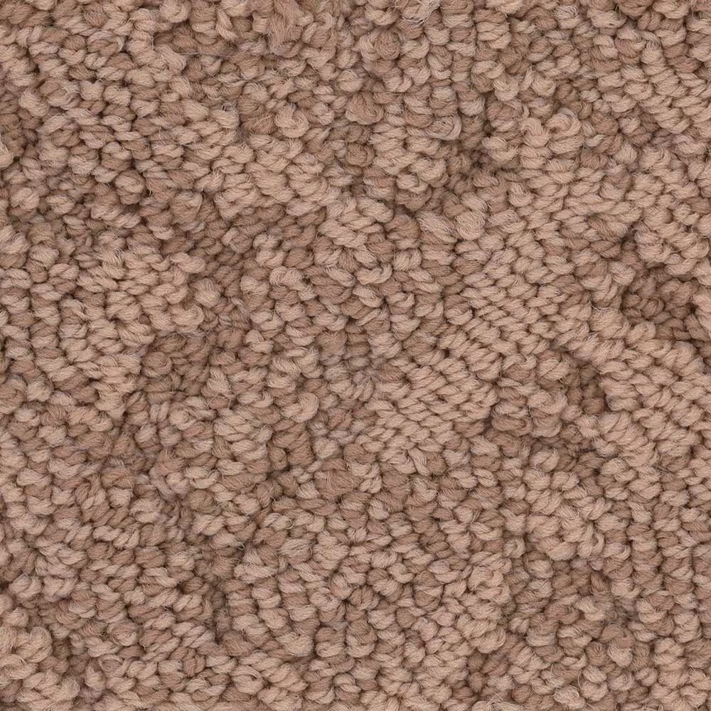 Anderson Tuftex Lavish Living Carpet in Sunbaked