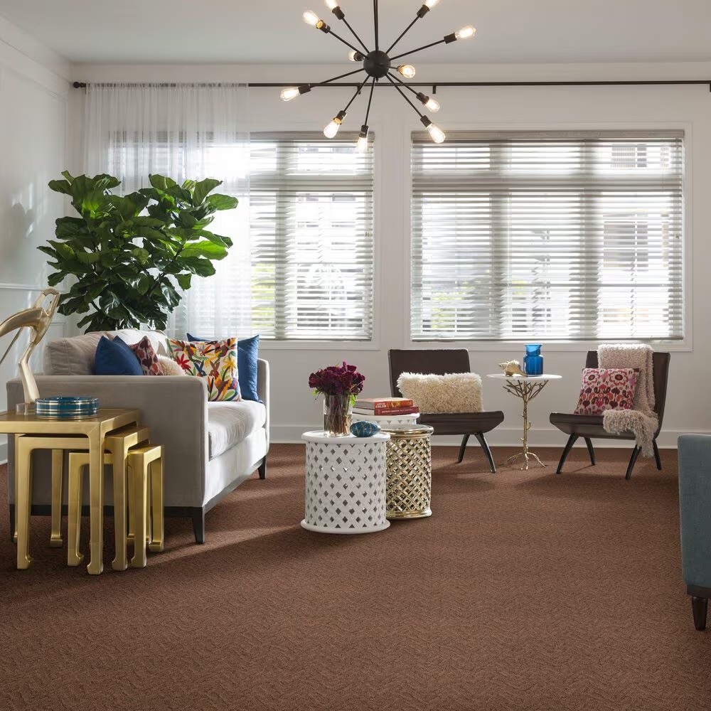 45584-anderson-tuftex-lavish-living-carpet-in-sunbaked-1.jpg