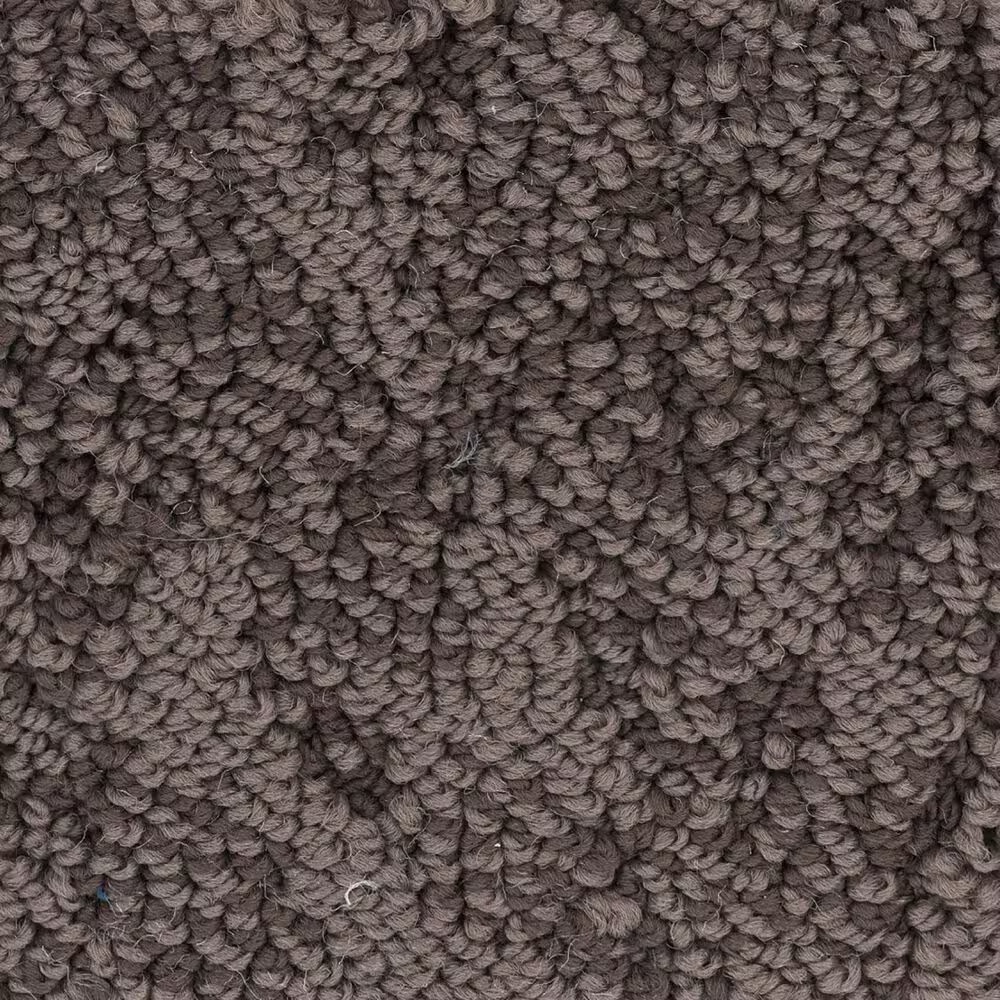 Anderson Tuftex Lavish Living Carpet in Burma Brown