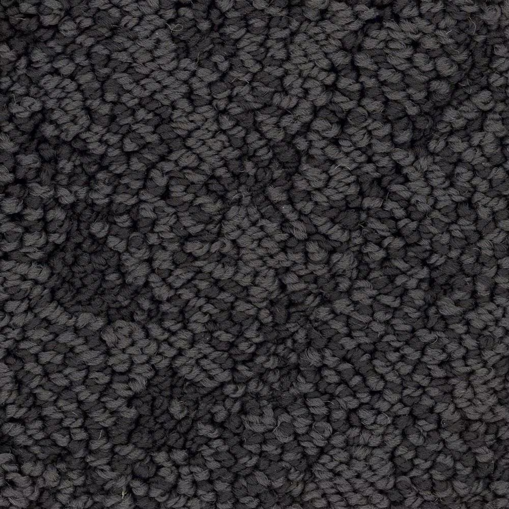 Anderson Tuftex Lavish Living Carpet in Wrought Iron