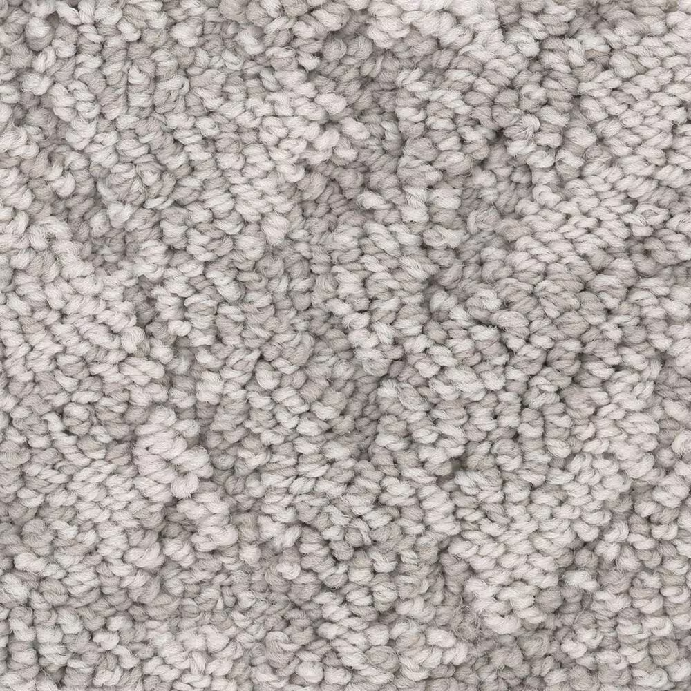 Anderson Tuftex Lavish Living Carpet in Cold Winter