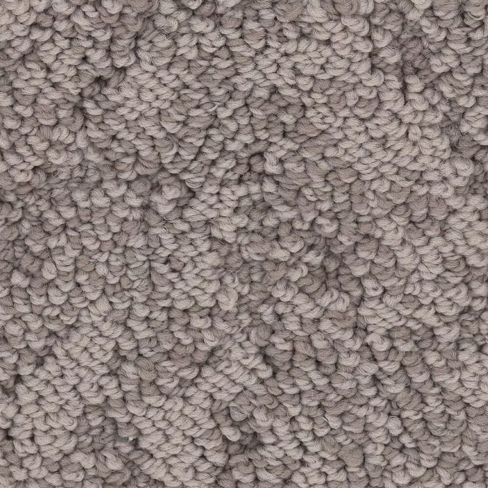 Anderson Tuftex Lavish Living Carpet in Ridgeview