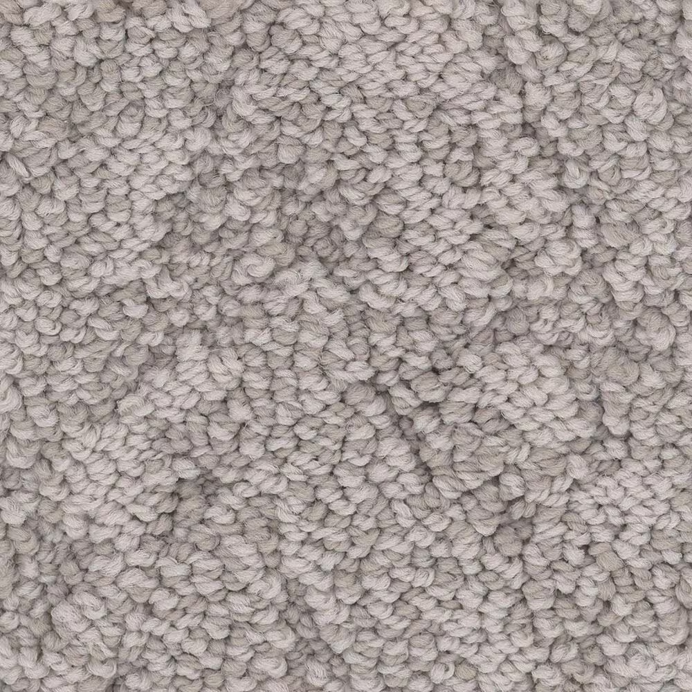 Anderson Tuftex Lavish Living Carpet in Stucco
