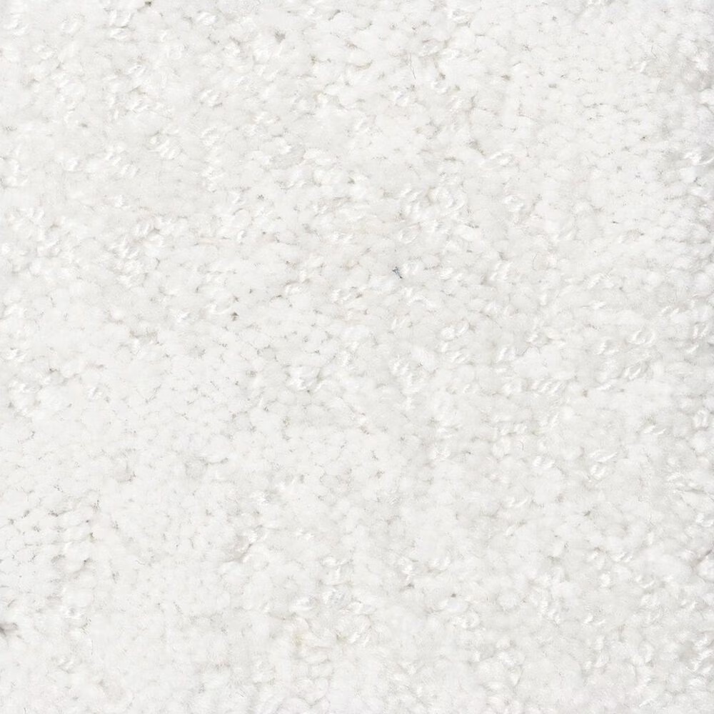 Anderson Tuftex Caress by Shaw Artistic Presence Carpet in Snowfall
