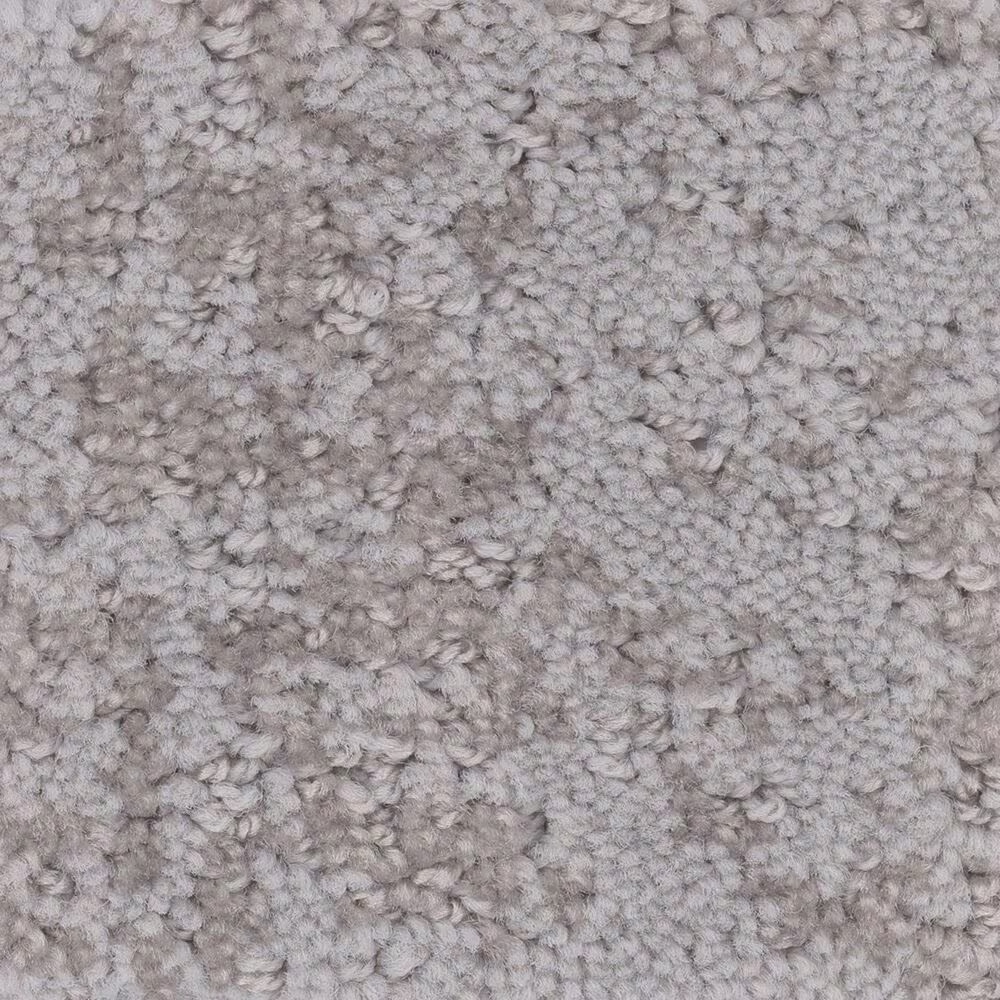 Anderson Tuftex CaressArtistic Presence Carpet in Cold Winter