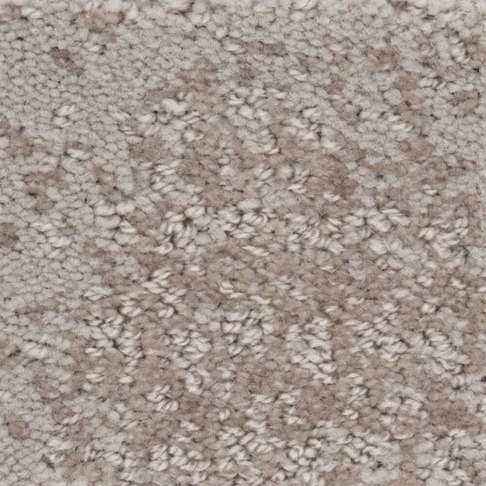 Anderson Tuftex CaressArtistic Presence Carpet in Stucco