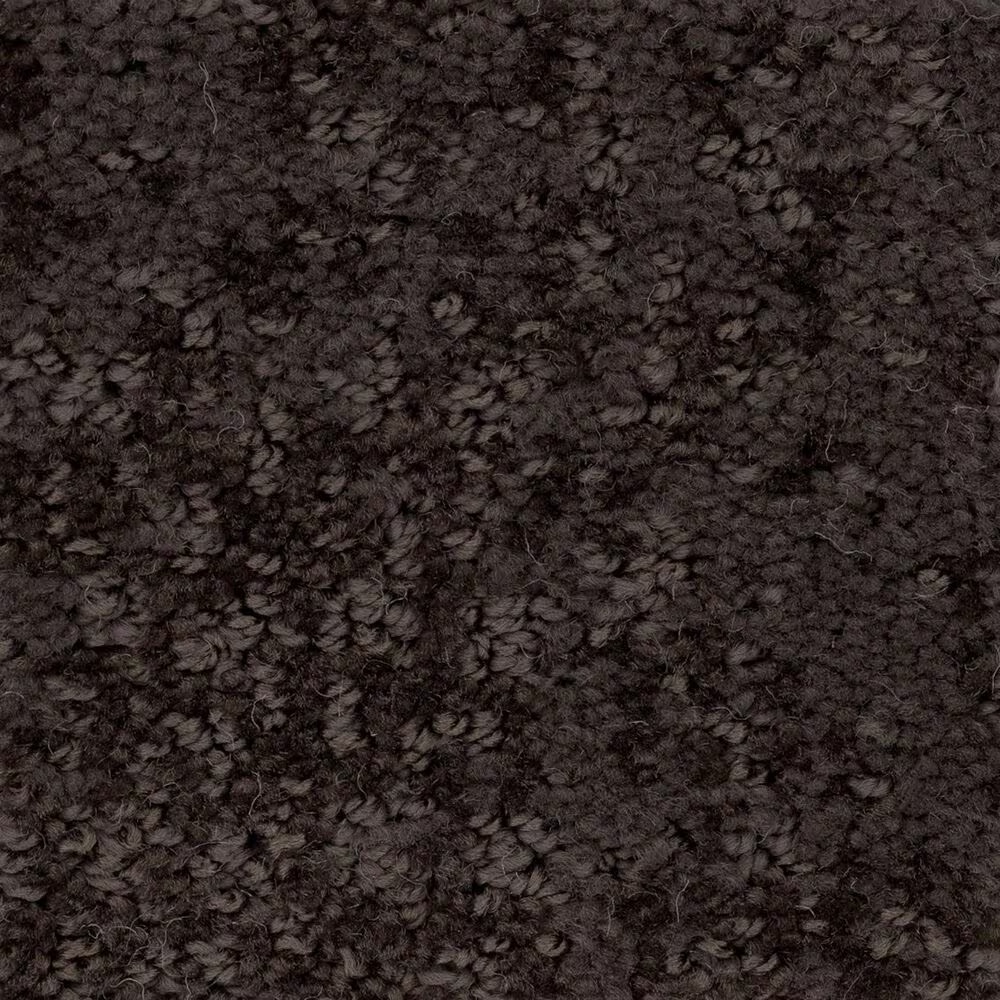 Anderson Tuftex Caress by Shaw Artistic Presence Carpet in Burma Brown