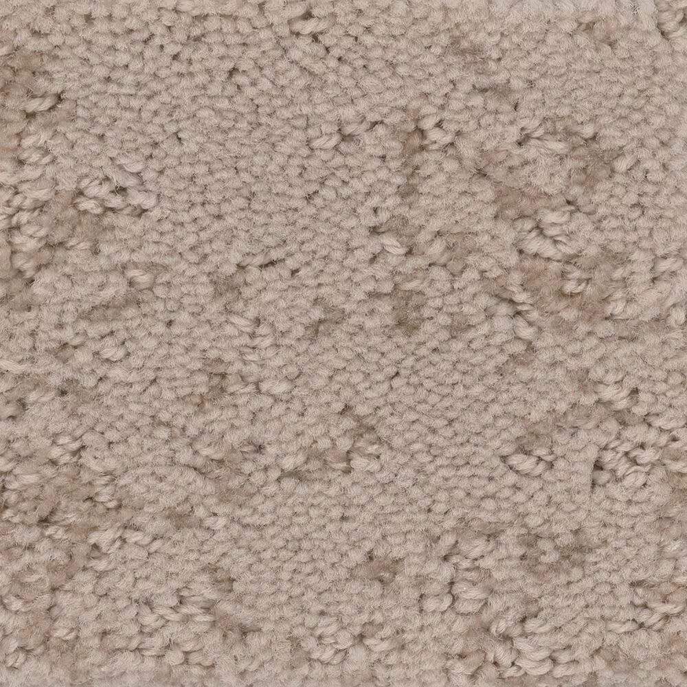 Anderson Tuftex CaressArtistic Presence Carpet in Natural Beauty