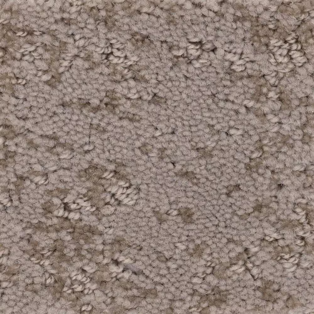 Anderson Tuftex CaressArtistic Presence Carpet in Tumbleweed