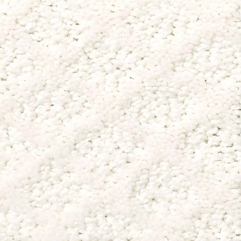 Shaw Foundations Formalize Carpet in Serene Still