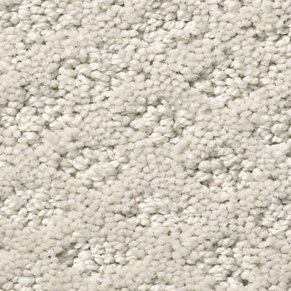 Shaw Foundations Formalize Carpet in Fossil Path