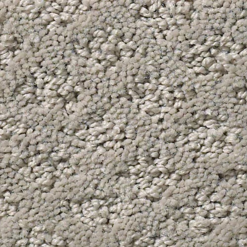 Shaw Foundations Formalize Carpet in River Run