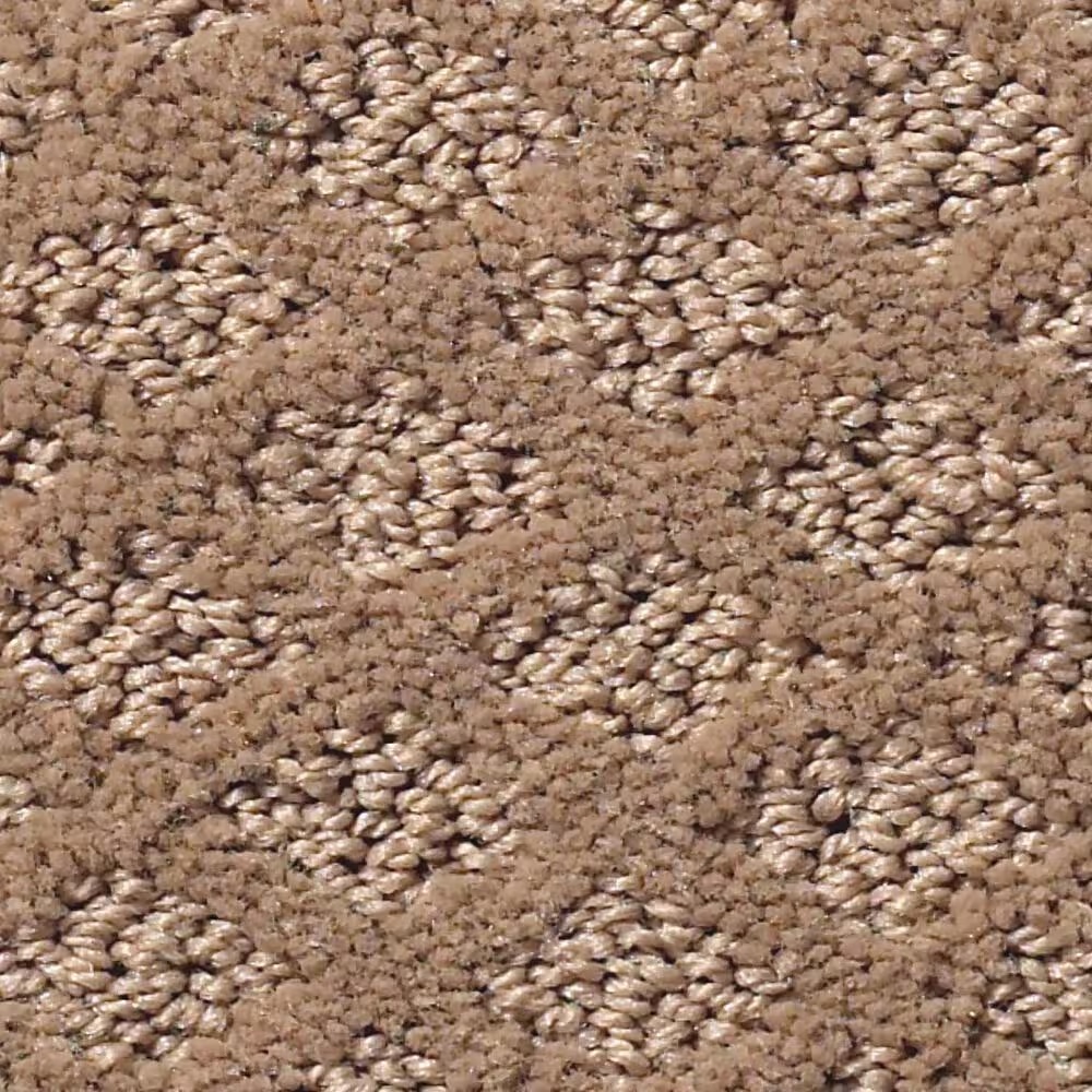 Shaw Foundations Formalize Carpet in Raw Wood