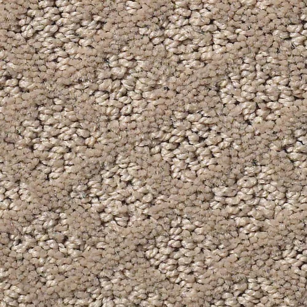 Shaw Foundations Formalize Carpet in Desert View