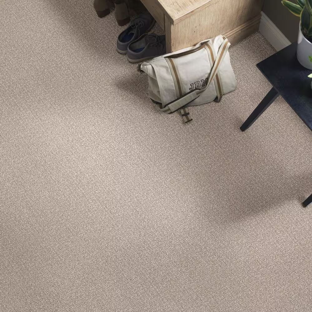 45670-shaw-bellera-secret-passage-carpet-in-shoreline-1.jpg