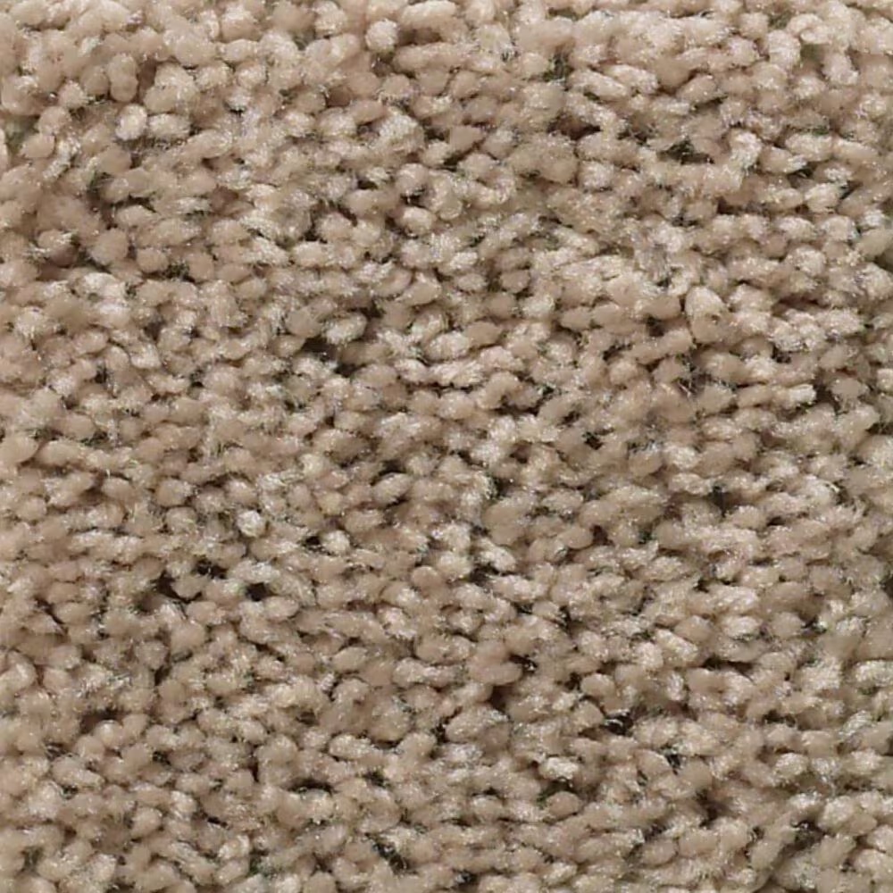Shaw Break Away Solid Carpet in Wheat Field