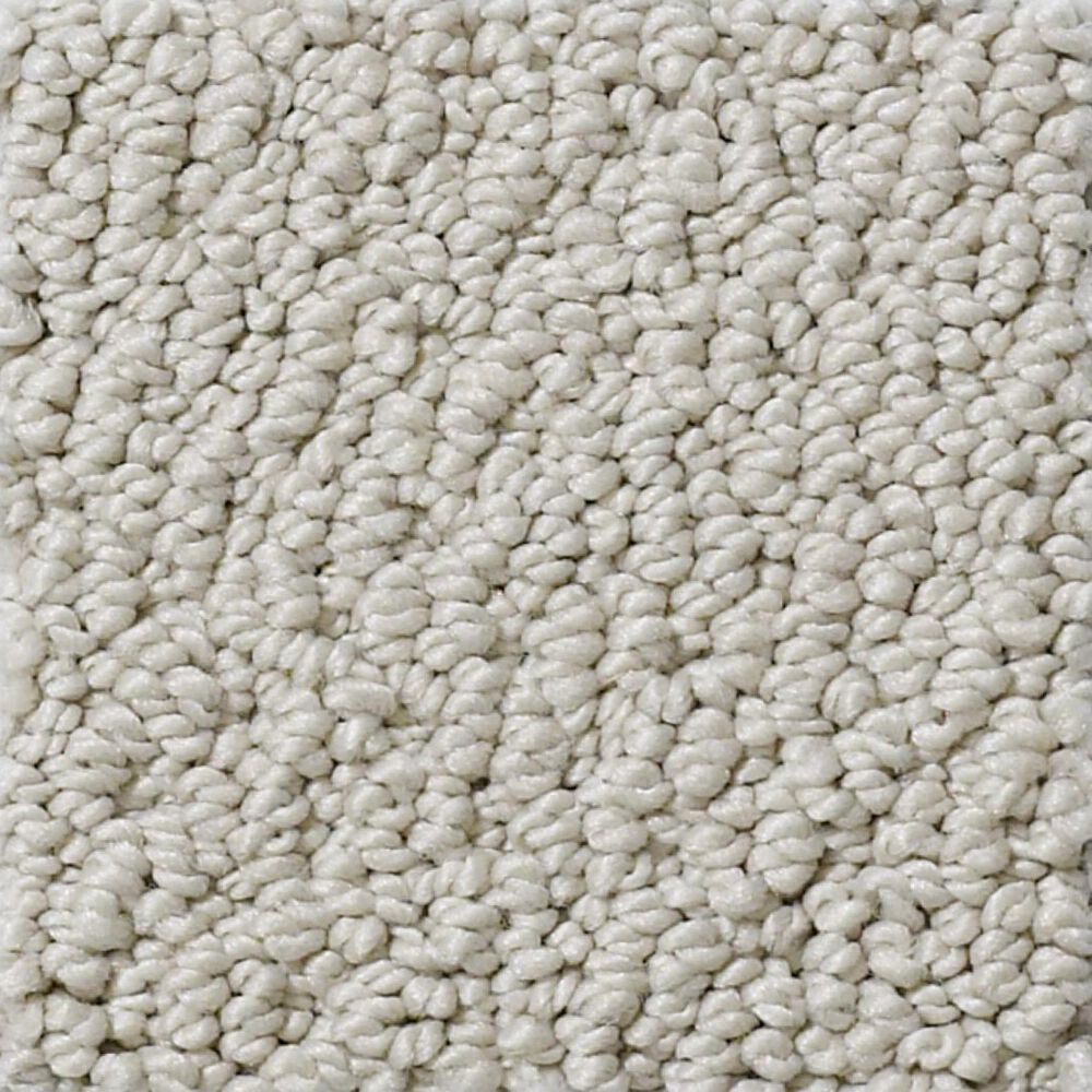 Shaw Detailed Statement Loop Carpet in Textured Canvas