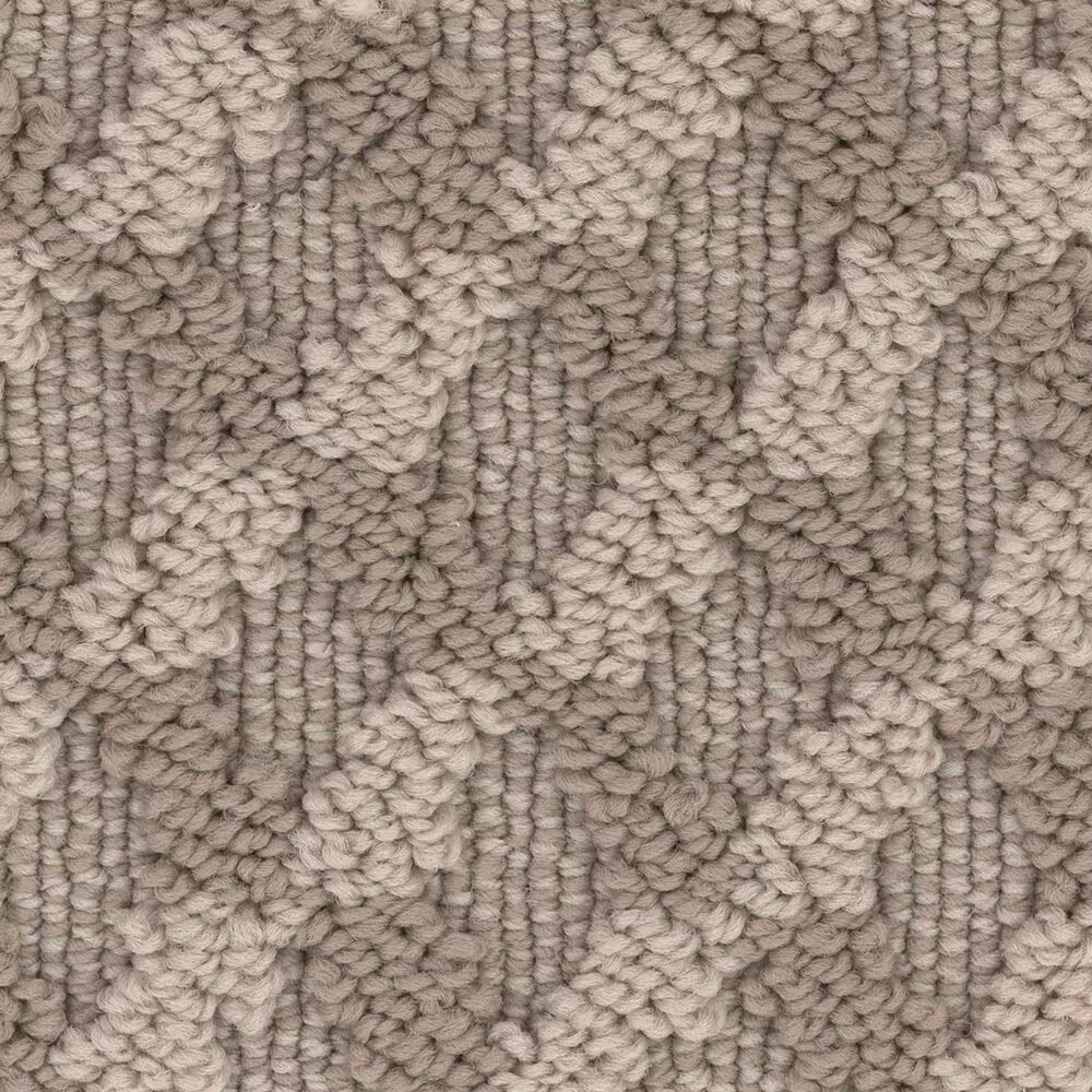 Anderson Tuftex Inspired Design Carpet in Tumbleweed
