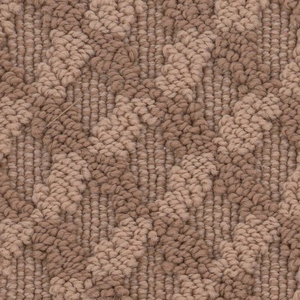 Anderson Tuftex Inspired Design Carpet in Sunbaked
