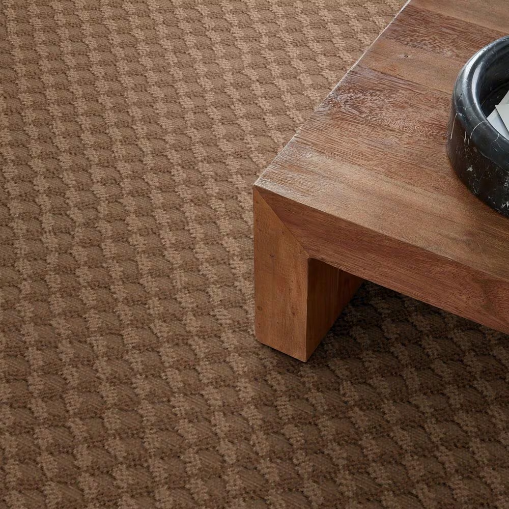 46347-anderson-tuftex-inspired-design-carpet-in-sunbaked-1.jpg