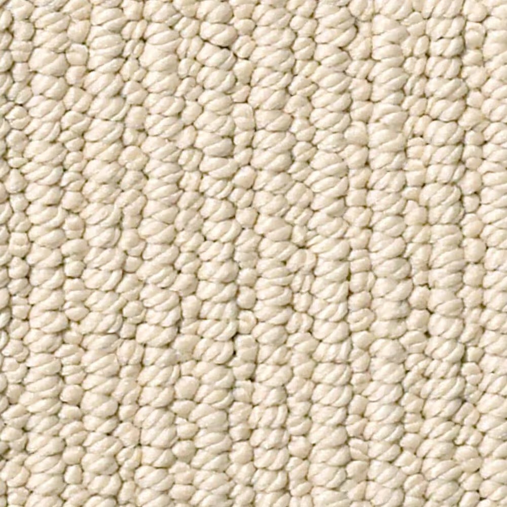 Anderson Tuftex Dynasty Carpet in String