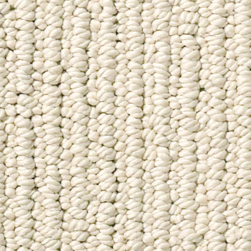 Anderson Tuftex Dynasty Carpet in Winter Light