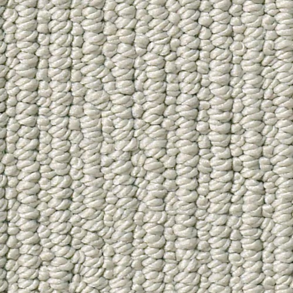 Anderson Tuftex Dynasty Carpet in Studio Gray