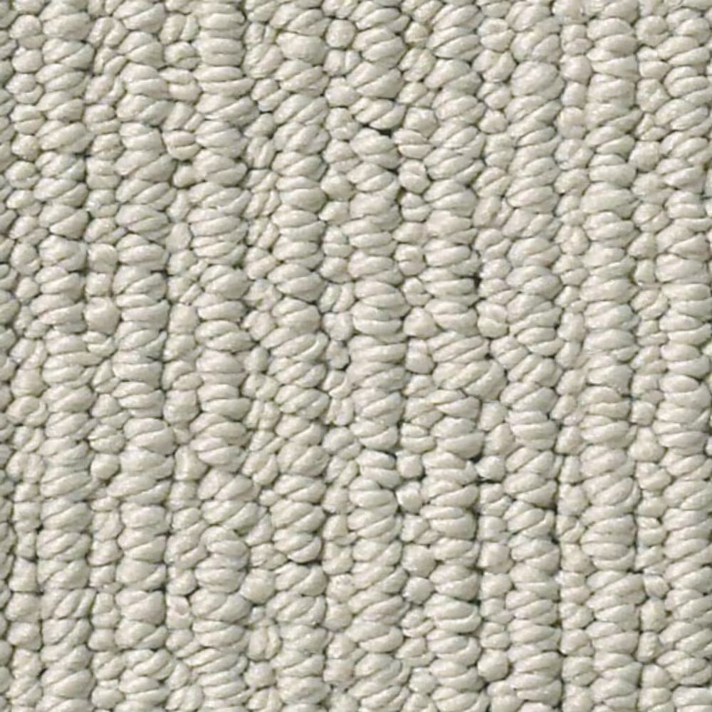 Anderson Tuftex Dynasty Carpet in Dove Tail