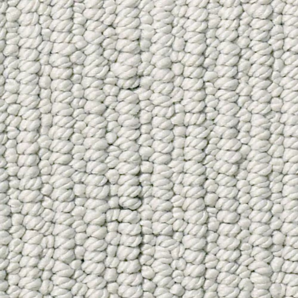 Anderson Tuftex Dynasty Carpet in Pavilion
