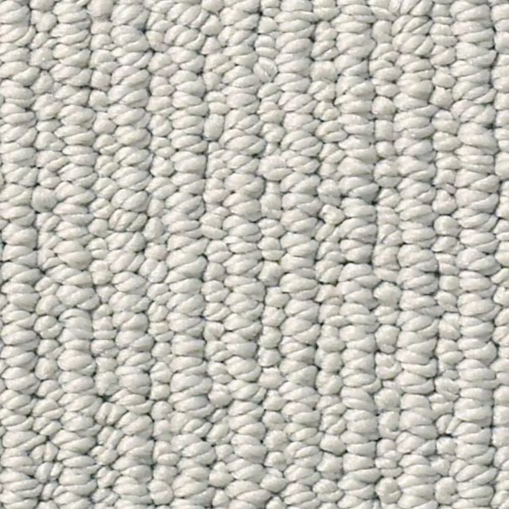 Anderson Tuftex Dynasty Carpet in Whisper