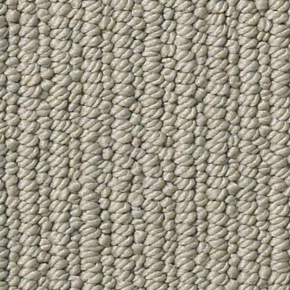Anderson Tuftex Dynasty Carpet in Charleston