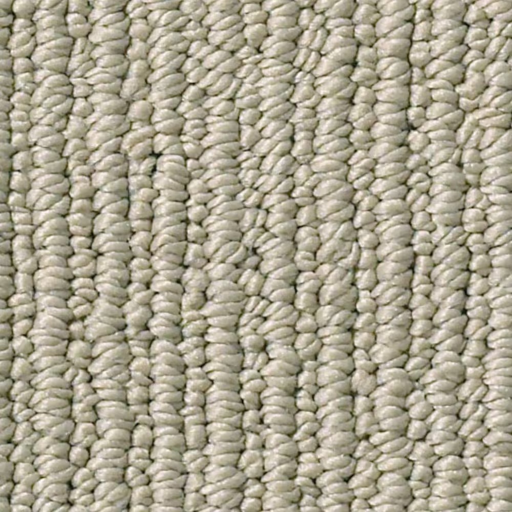 Anderson Tuftex Dynasty Carpet in Frontier