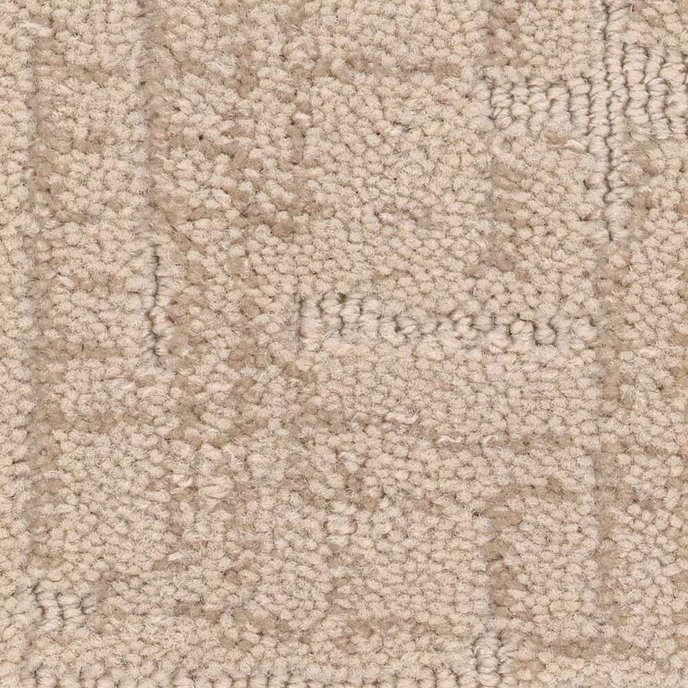 Anderson Tuftex Private Retreat Carpet in Cashmere