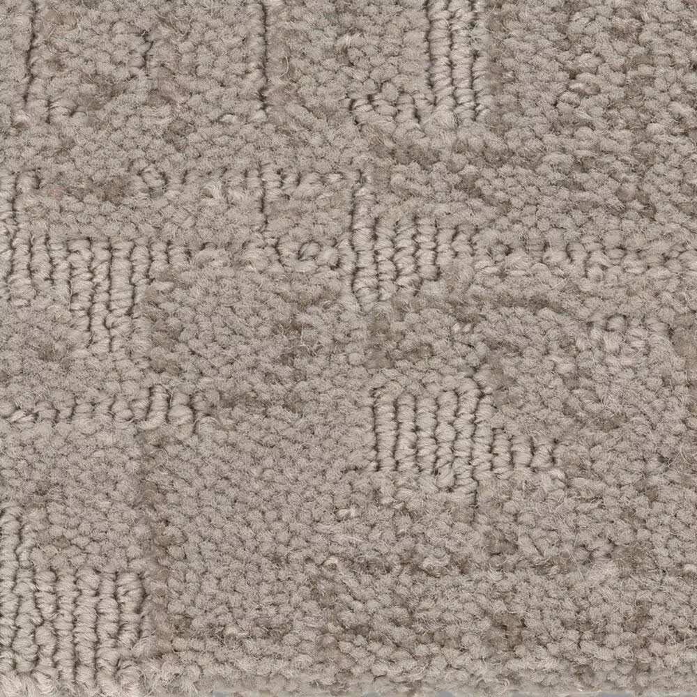 Anderson Tuftex Private Retreat Carpet in Shady