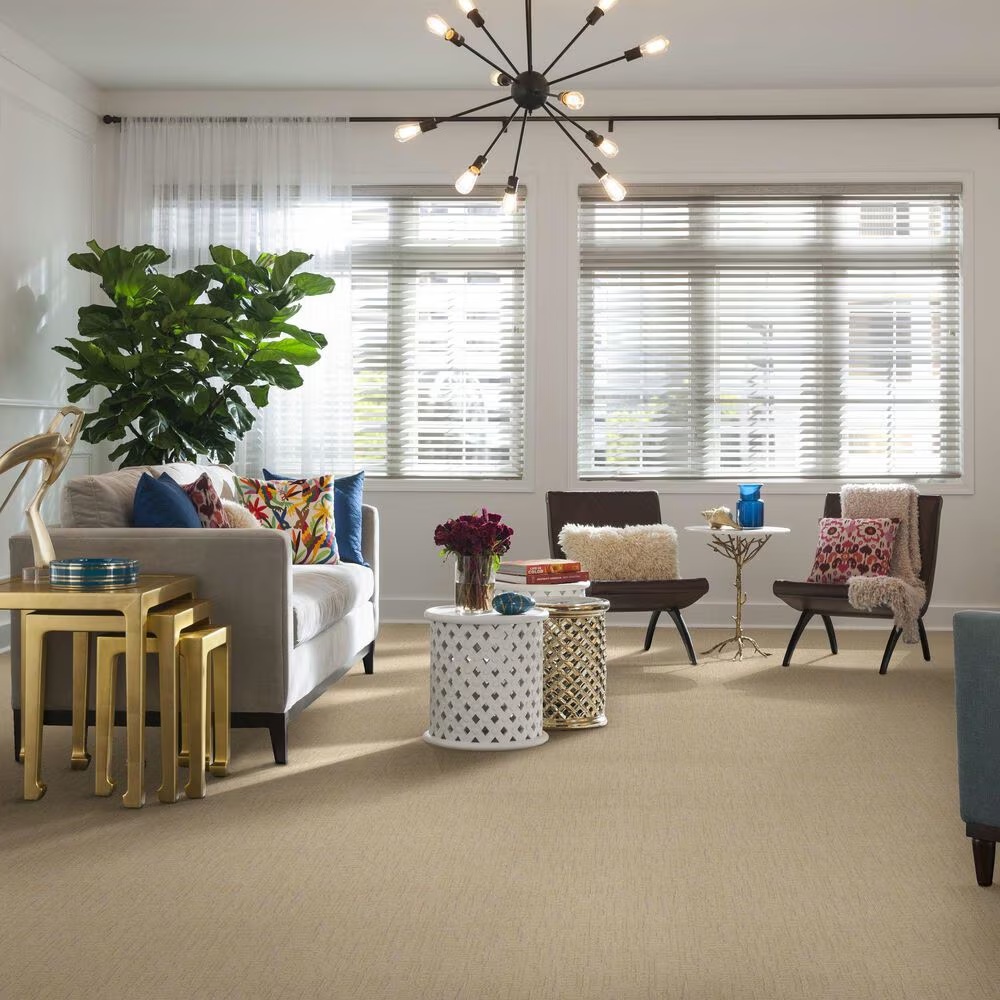 46381-anderson-tuftex-private-retreat-carpet-in-sheer-sunlight-1.jpg