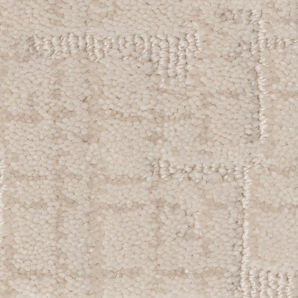 Anderson Tuftex Private Retreat Carpet in Sparkling