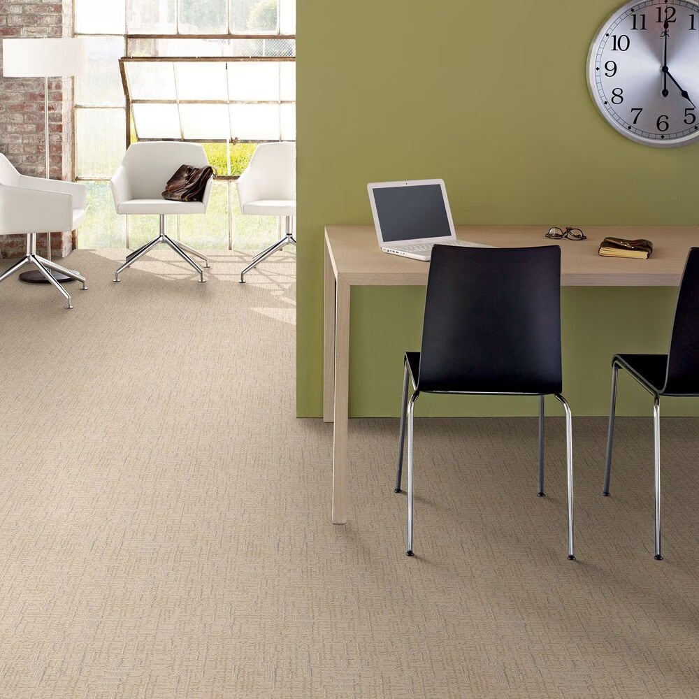 46383-anderson-tuftex-private-retreat-carpet-in-sparkling-1.jpg